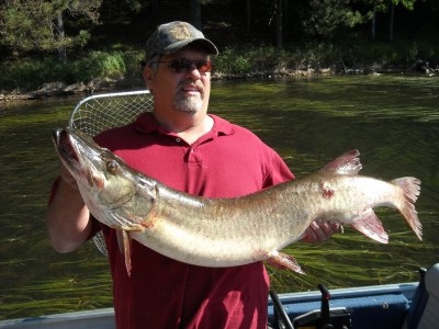 Photo of Musky Caught by Mark with Mepps Aglia & Dressed Aglia in Wisconsin