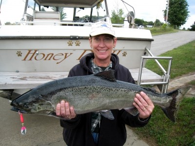 Photo of Salmon Caught by Cindi with Mepps Flying C in Michigan