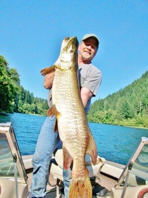 Photo of Tiger Musky Caught by Pete with Mepps  in Washington