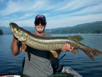 Photo of Tiger Musky Caught by Jim with Mepps  in Washington