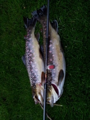 Photo of Trout Caught by Dirk with Mepps Aglia & Dressed Aglia in Germany