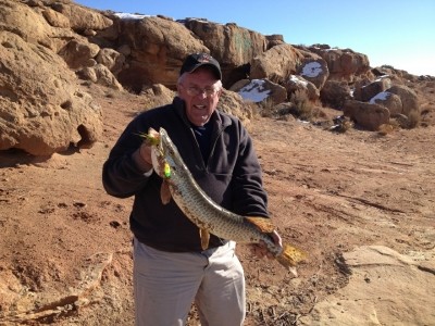 Photo of Musky Caught by Larry J. with Mepps Magnum Musky Killer in Utah