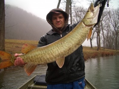 Photo of Musky Caught by Keith with Mepps Musky Marabou in West Virginia