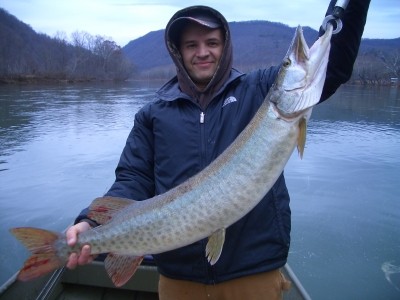 Photo of Musky Caught by Keith with Mepps Musky Marabou in West Virginia