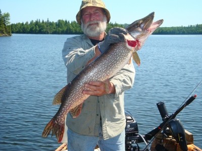 Photo of Pike Caught by Robert  with Mepps Aglia & Dressed Aglia in Ontario
