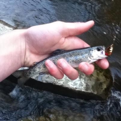Photo of Trout Caught by Connor with Mepps Aglia Ultra Lites in Vermont