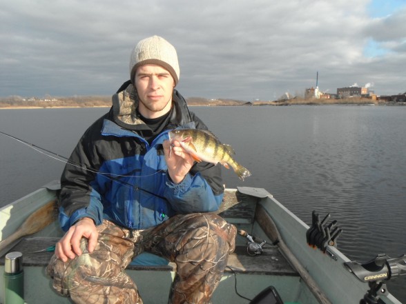 Photo of Perch Caught by Samuel with Mepps Syclops in Michigan