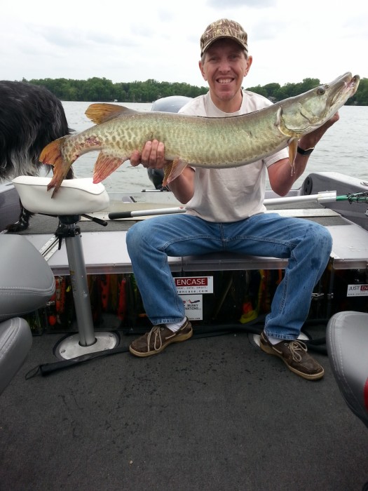 Photo of Musky Caught by Tom with Mepps Magnum Musky Killer in Minnesota