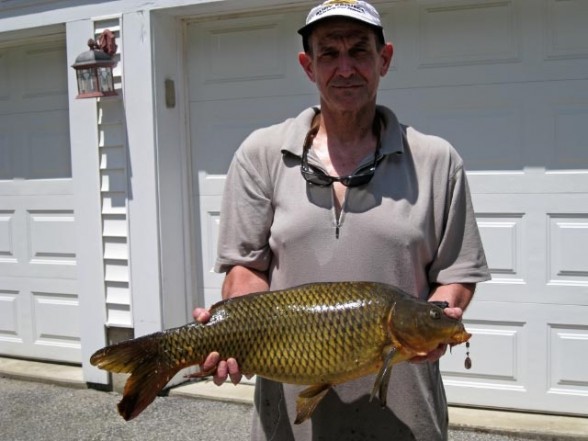 Photo of Carp Caught by Kenneth with Mepps Aglia & Dressed Aglia in New York