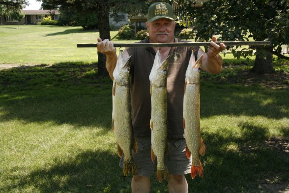 Photo of Pike Caught by Ron  with Mepps Musky Killer in Minnesota