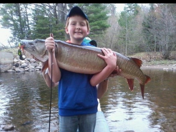 Photo of Musky Caught by Henry with Mepps Black Fury in United States