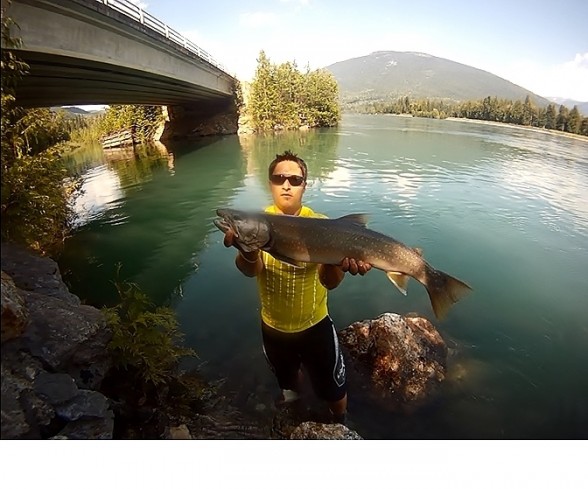 Photo of Bull Trout Caught by Robert with Mepps Aglia Long in British Columbia