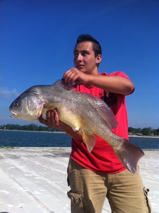Photo of Black Drum Caught by Jake with Mepps Black Fury in Ontario