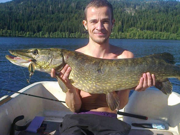 Photo of Pike Caught by Florent with Mepps  in France