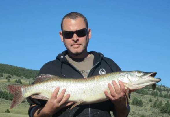 Photo of Tiger Musky Caught by Robert with Mepps Aglia & Dressed Aglia in Colorado