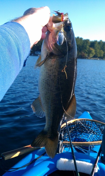Photo of Bass Caught by Ryan with Mepps Aglia & Dressed Aglia in Maine