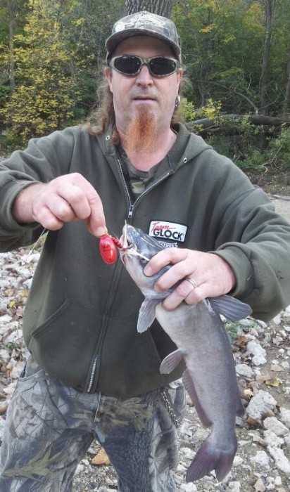 Photo of Catfish Caught by Dan with Mepps Aglia & Dressed Aglia in Illinois
