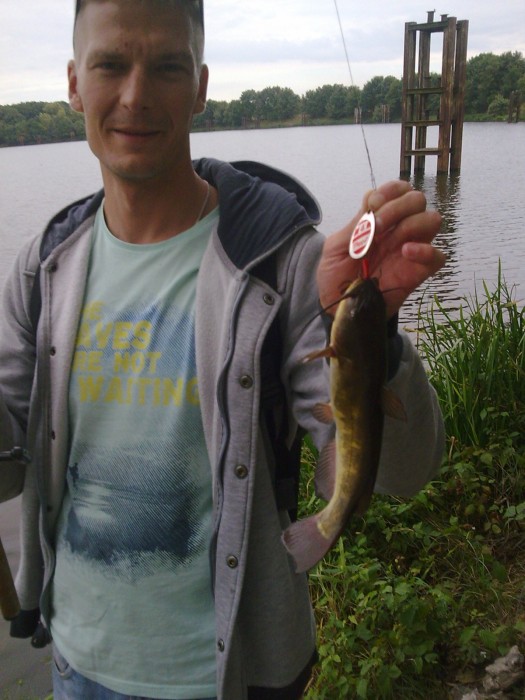 Photo of Catfish Caught by Maciej with Mepps Black Fury in Poland