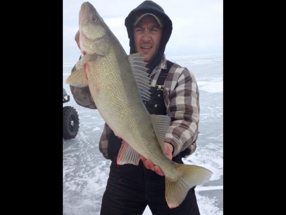 Photo of Walleye Caught by Matt with Mepps Syclops in Michigan