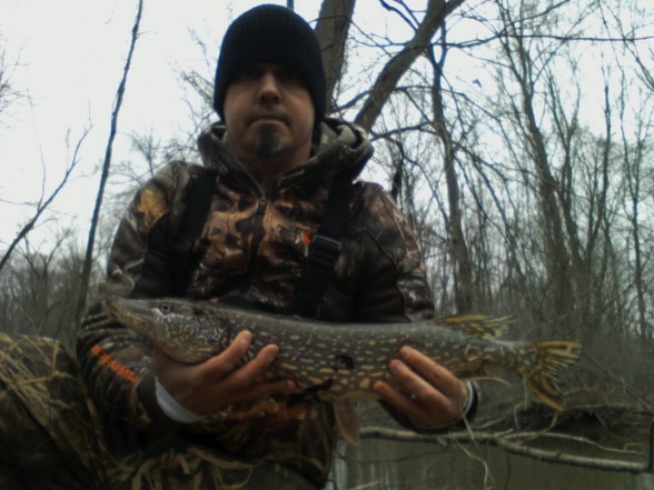 Photo of Pike Caught by Brian  with Mepps Aglia & Dressed Aglia in Indiana