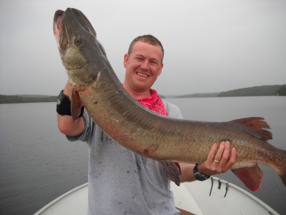 Photo of Musky Caught by Hans with Mepps Musky Killer in Ontario