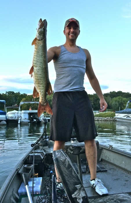 Photo of Musky Caught by Vince with Mepps Aglia Tandem in Illinois