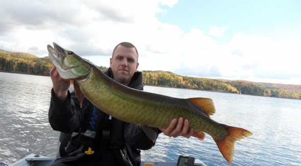 Photo of Musky Caught by Jason with Mepps Musky Marabou in Quebec
