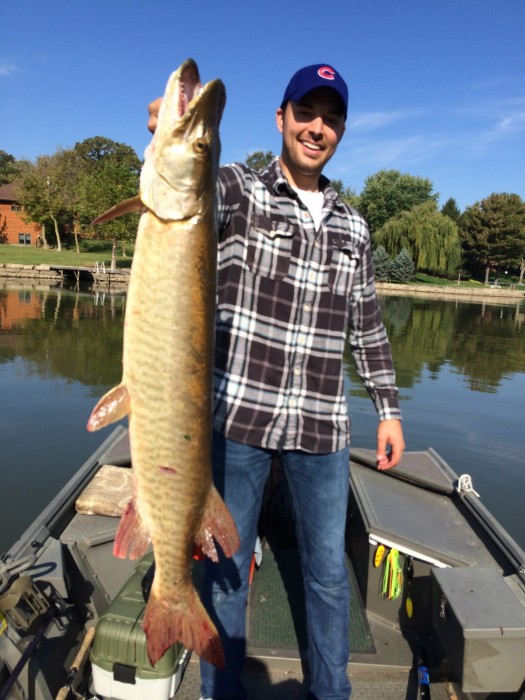 Photo of Musky Caught by Vince with Mepps Aglia Tandem in United States