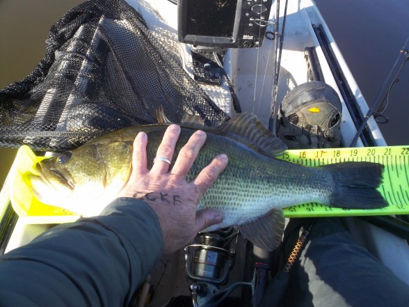 Photo of Bass Caught by Brian with Mepps Aglia & Dressed Aglia in Texas