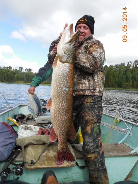 Photo of Pike Caught by Paul with Mepps Aglia & Dressed Aglia in Ontario
