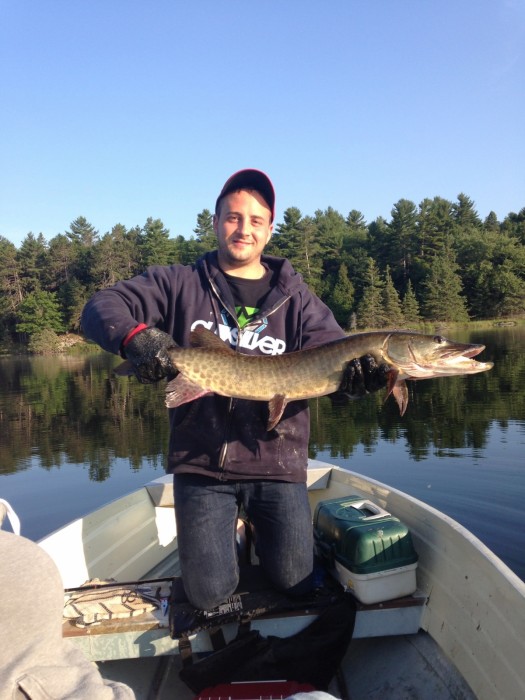 Photo of Musky Caught by Dan with Mepps Musky Killer in Ontario