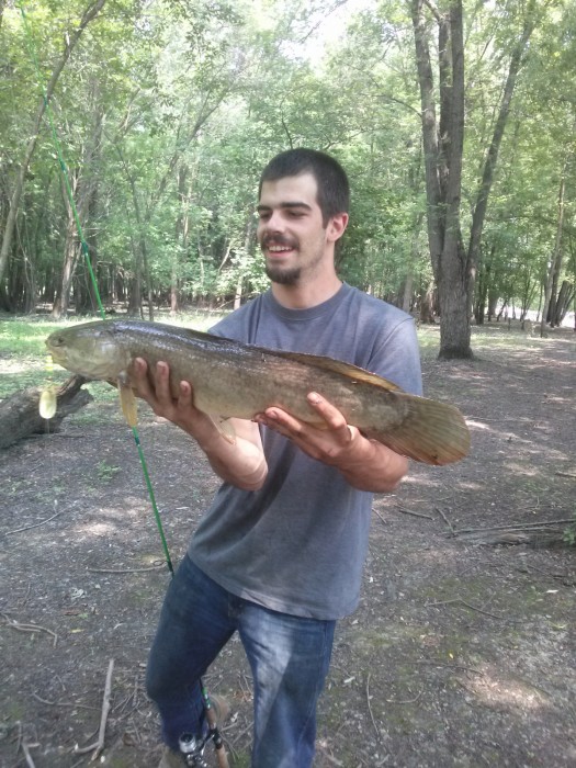 Photo of Bowfin Caught by Chris  with Mepps Comet Mino in Wisconsin