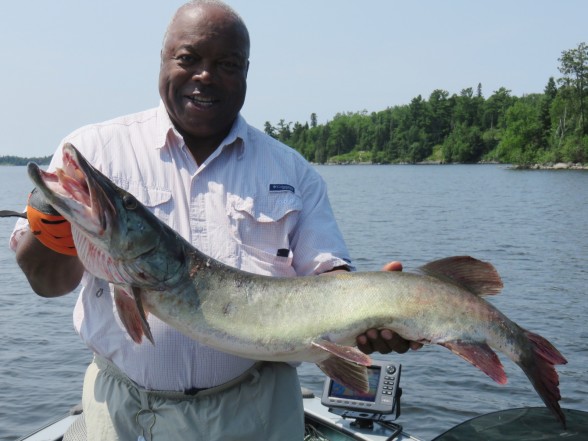 Photo of Musky Caught by Robert with Mepps Aglia & Dressed Aglia in Ontario