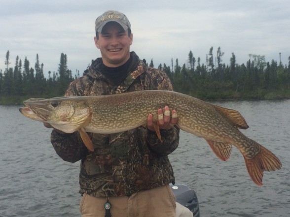 Photo of Pike Caught by Jeremy with Mepps Musky Killer in Manitoba