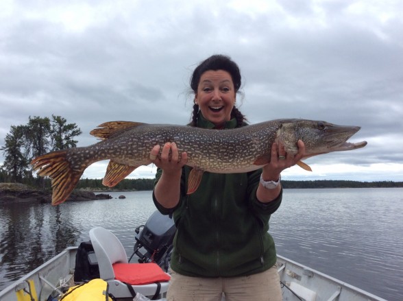 Photo of Pike Caught by Patricia  with Mepps Aglia Long in Ontario