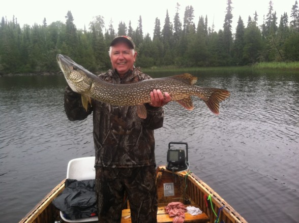 Photo of Pike Caught by Tom  with Mepps Aglia & Dressed Aglia in Ontario