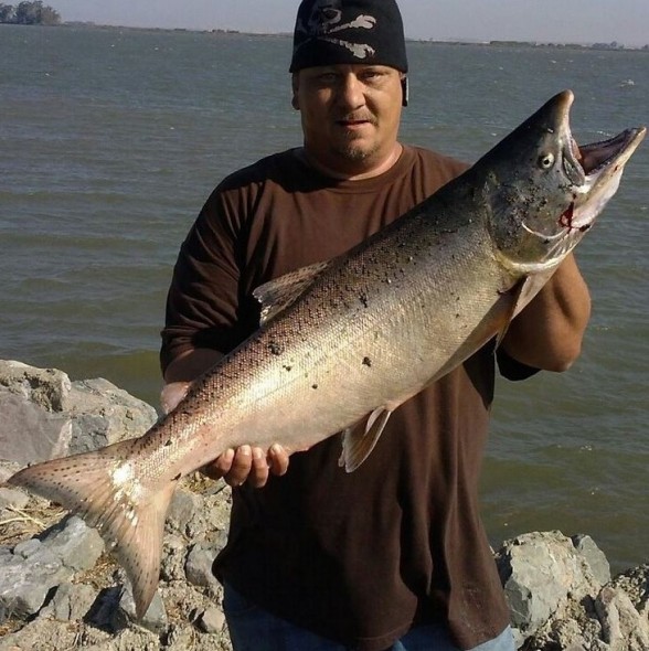 Photo of Salmon Caught by James with Mepps Flying C in California