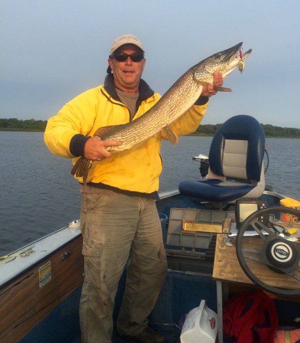 Photo of Pike Caught by Bob with Mepps Aglia & Dressed Aglia in Minnesota