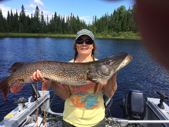 Photo of Pike Caught by Jen with Mepps  in Ontario