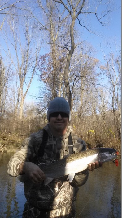 Photo of Steelhead Caught by Brian  with Mepps Aglia & Dressed Aglia in Indiana