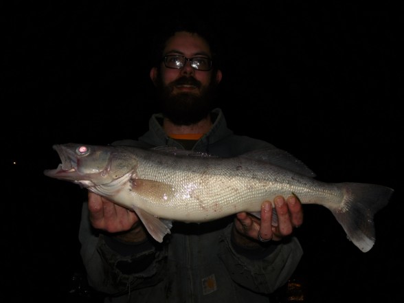 Photo of Walleye Caught by Bo with Mepps Black Fury in Ohio