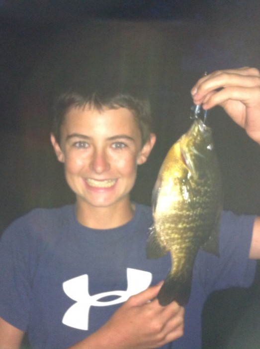 Photo of Bluegill Caught by Connor with Mepps Comet Mino in United States