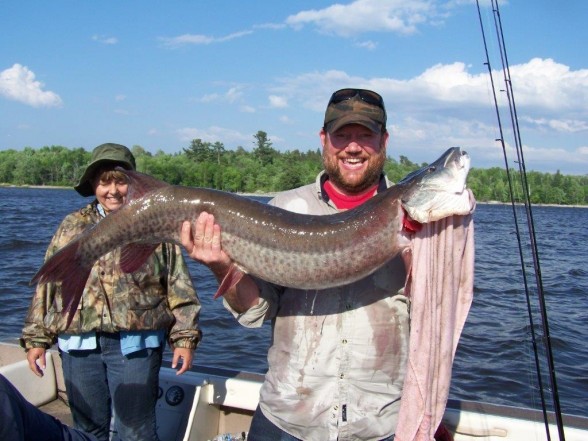 Photo of Musky Caught by Mike with Mepps Aglia & Dressed Aglia in Ontario
