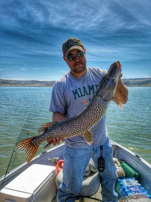 Photo of Pike Caught by Pete with Mepps Aglia & Dressed Aglia in Montana