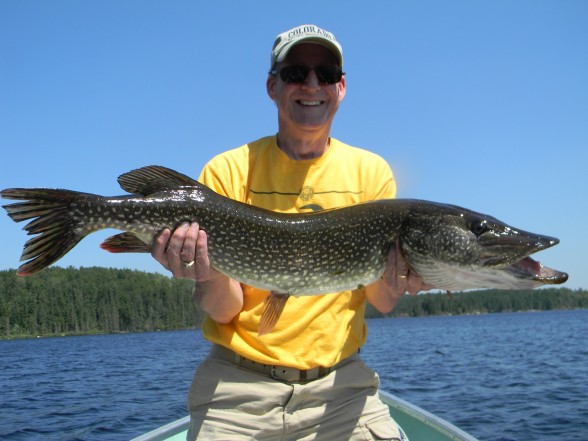 Photo of Pike Caught by Mark with Mepps Syclops in Ontario