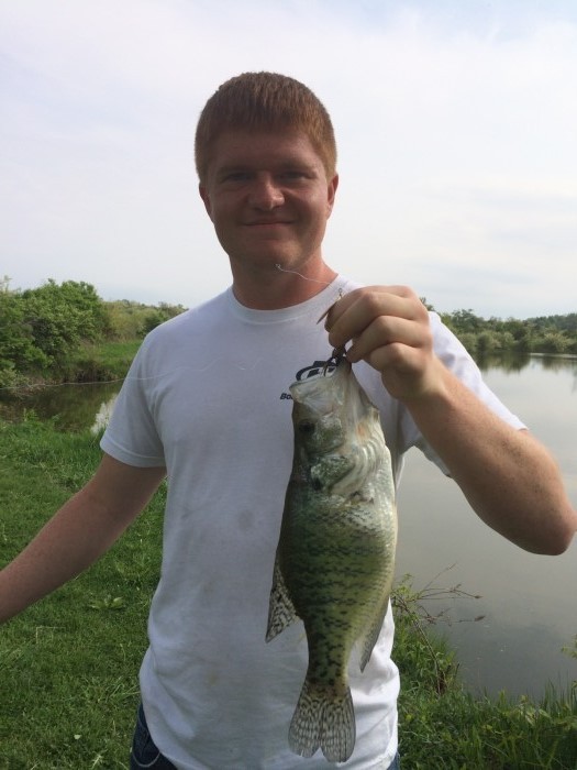 Photo of Crappie Caught by Justin with Mepps Aglia & Dressed Aglia in Illinois
