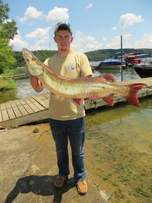 Photo of Musky Caught by Clay with Mepps Black Fury in Ohio