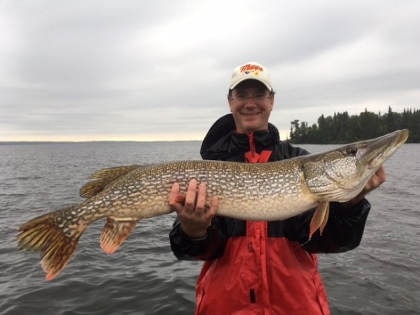 Photo of Pike Caught by Ken with Mepps Aglia & Dressed Aglia in Ontario
