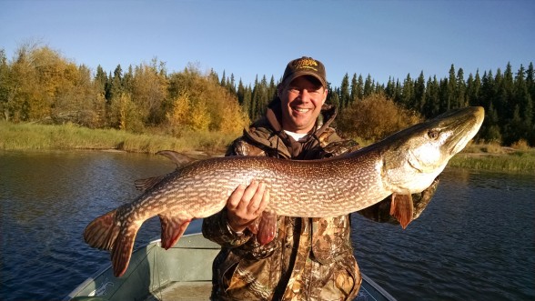Photo of Pike Caught by John with Mepps Giant Killer Sassy Shad in Northwest Territories