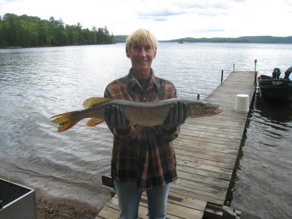 Photo of Pike Caught by Cindi  with Mepps Aglia & Dressed Aglia in Ontario